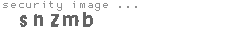 security image