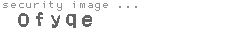security image