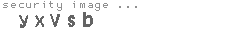 security image
